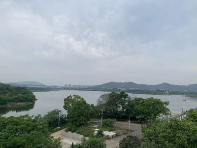 洪山陵園優(yōu)美風(fēng)景